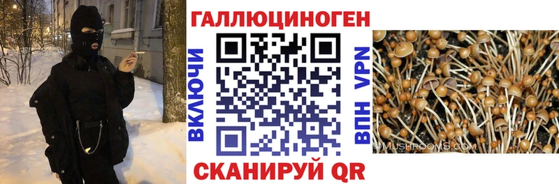 Псилоцибиновые грибы мухоморы где можно купить наркотик Белорецк