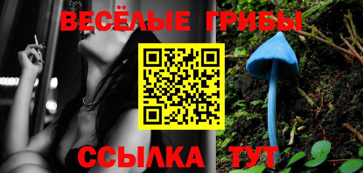 Галлюциногенные грибы Magic Shrooms  Белорецк 