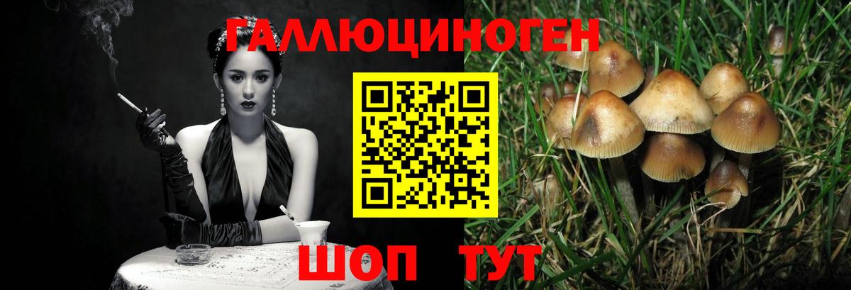 Псилоцибиновые грибы Cubensis Белорецк