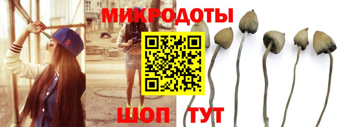 Белорецк  Псилоцибиновые грибы Psilocybine cubensis  Вход с VPN 